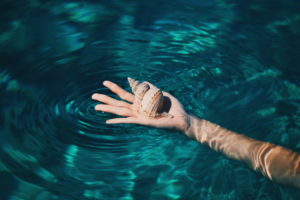 A person's hand holding a shell in a pool of water.