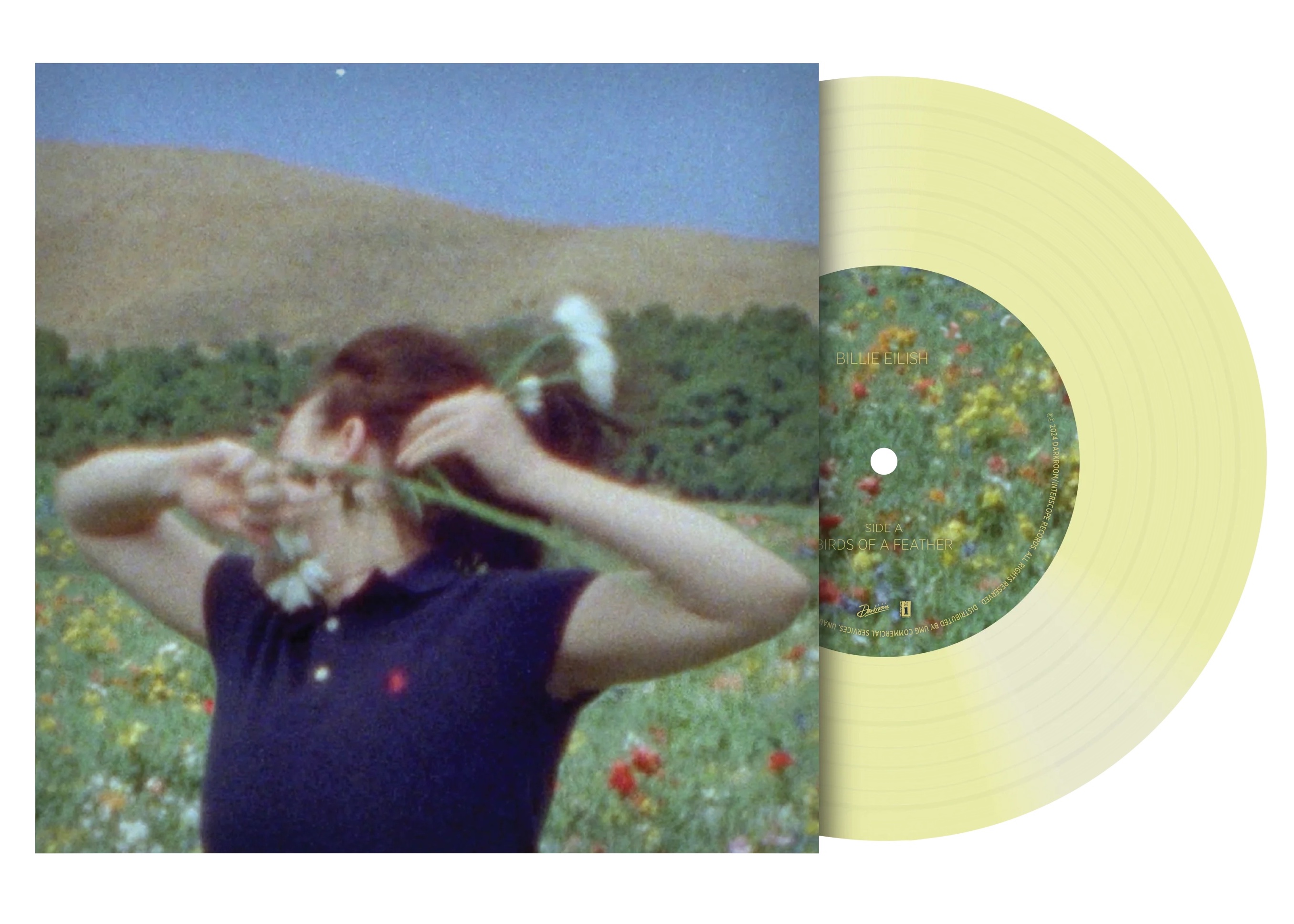 Cover art for the "Birds of a Feather" single by Billie Eilish is shown.